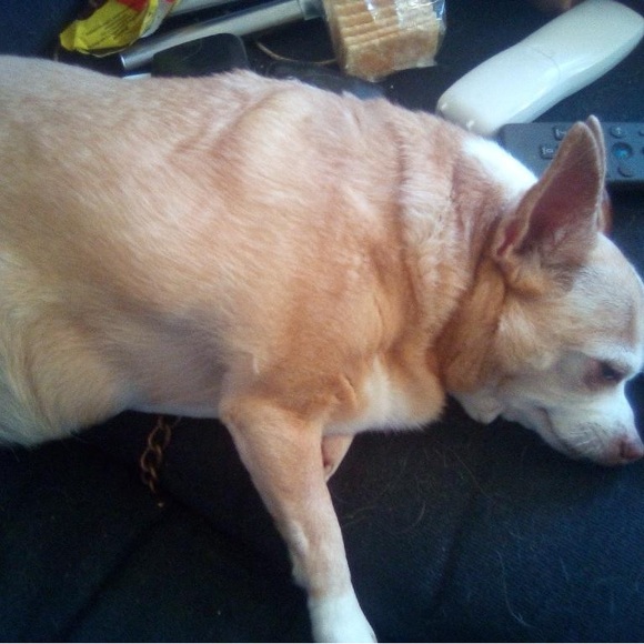 Meet your Posher, Tina - Picture 7 of 15